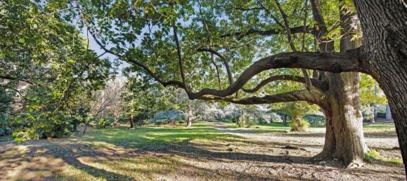 3 rooms Apartment in Arenzano, Italy No. 169577 23