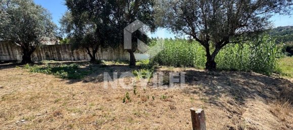 1132m² Land in Leiria, Portugal No. 339634 4