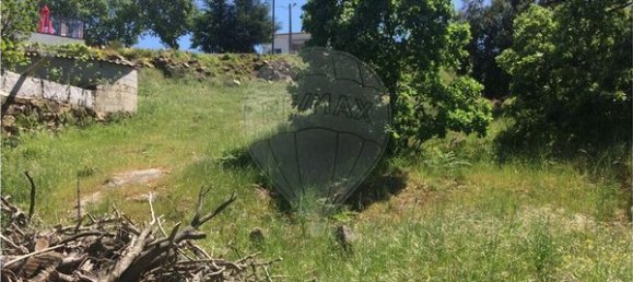 قطعة أرض في Pinhel, Portugal 462متر مربع رقم 78221 3