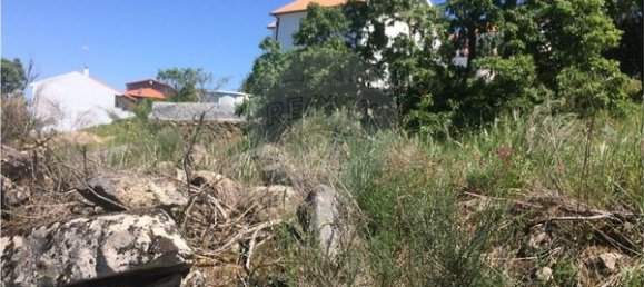 قطعة أرض في Pinhel, Portugal 462متر مربع رقم 78221 8