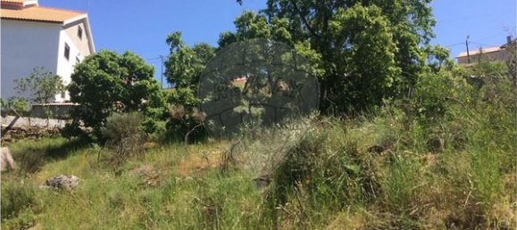 قطعة أرض في Pinhel, Portugal 462متر مربع رقم 78221 2