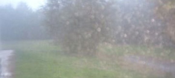 7-Zimmer Wohnung in Taglio di Po, Italy, Nr. 61361 7