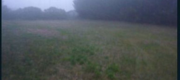 7-Zimmer Wohnung in Taglio di Po, Italy, Nr. 61361 10