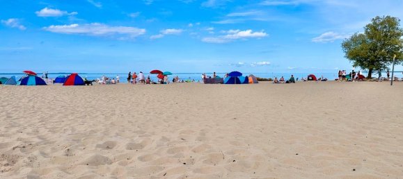 5 rooms House in Vorpommern-Greifswald, Germany No. 149863 9