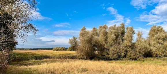 5 rooms House in Vorpommern-Greifswald, Germany No. 149863 6