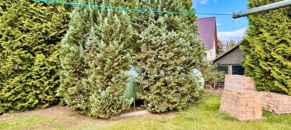 5 rooms House in Vorpommern-Greifswald, Germany No. 149863 4