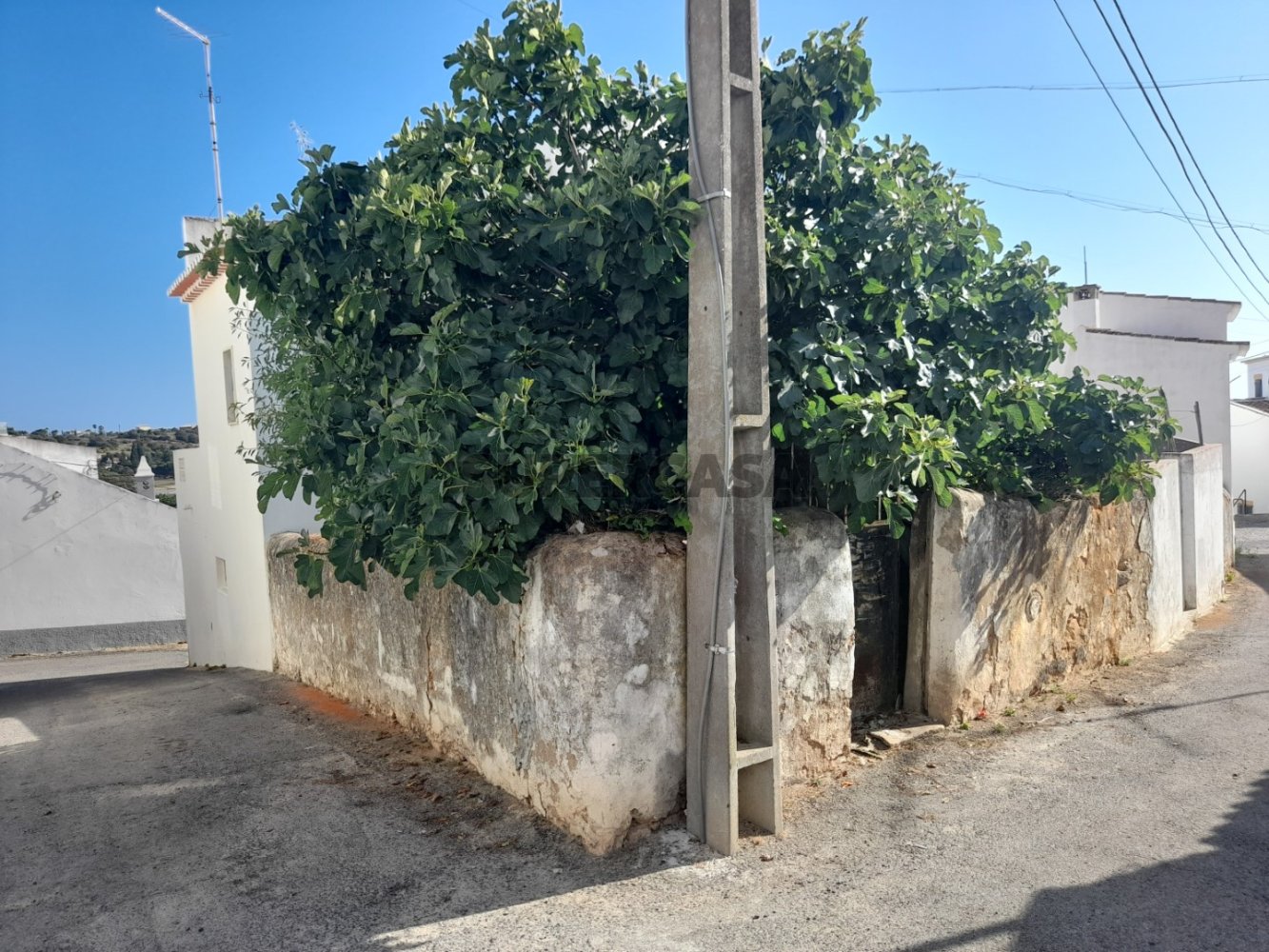 Земельный участок 39м² в Луш, Португалия № 241786