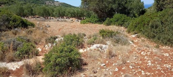 Land for sale in Zakynthos, Ionian Islands, Peloponnese, Western Greece and the Ionian, Greece № 462 15