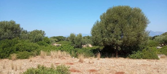 Land for sale in Zakynthos, Ionian Islands, Peloponnese, Western Greece and the Ionian, Greece № 462 8
