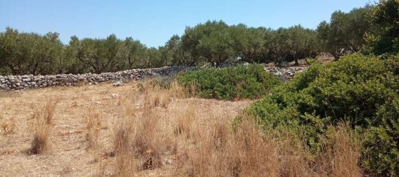 Land for sale in Zakynthos, Ionian Islands, Peloponnese, Western Greece and the Ionian, Greece № 462 11