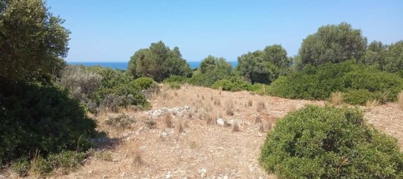Land for sale in Zakynthos, Ionian Islands, Peloponnese, Western Greece and the Ionian, Greece № 462 3