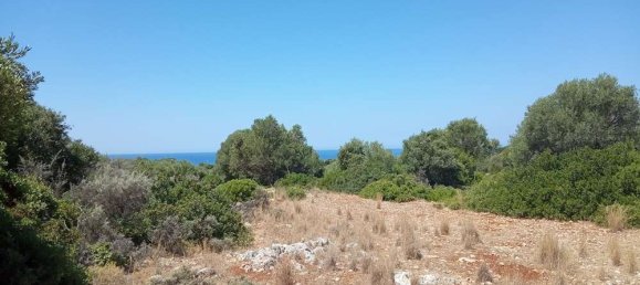 Land for sale in Zakynthos, Ionian Islands, Peloponnese, Western Greece and the Ionian, Greece № 462 10