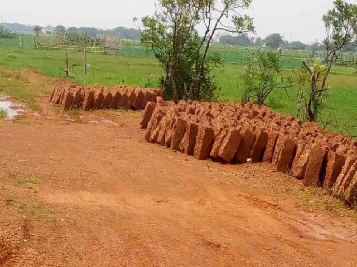 Terreno en Bhubaneshwar, India No. 66006