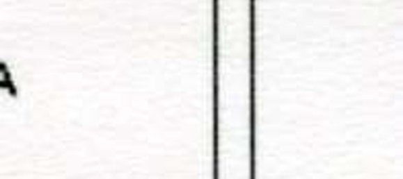 3 rooms Apartment in Trentino-Alto Adige, Italy No. 301144 15