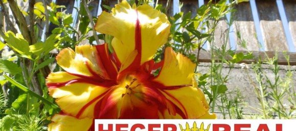 5-salle Maison à Pernitz, Austria No. 129639 21