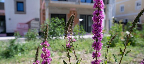 3 rooms Villa in Gmunden, Austria No. 142188 10