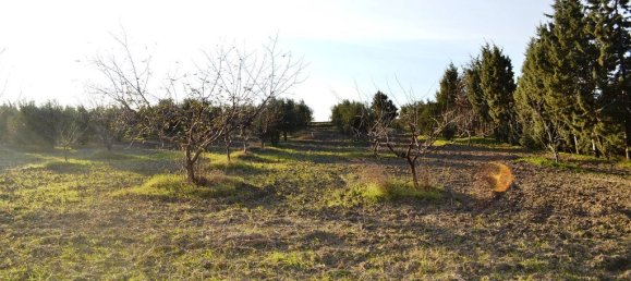 4 bedrooms Commercial property in Epanomi, Greece No. 7456 23