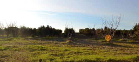 4 bedrooms Commercial property in Epanomi, Greece No. 7456 24