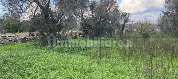 1 Schlafzimmer Haus in Alessano, Italy, Nr. 143119 13