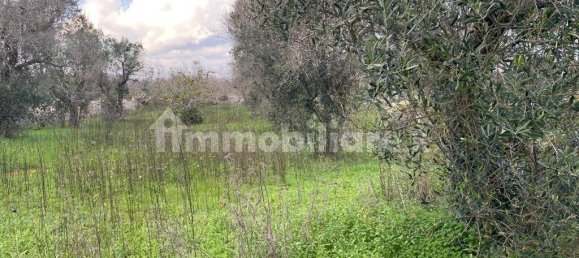 1 Schlafzimmer Haus in Alessano, Italy, Nr. 143119 12