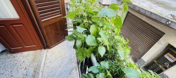 3-Zimmer Haus in Campofelice di Roccella, Italy, Nr. 92451 23