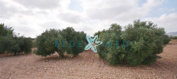 3 Schlafzimmer Haus in Fuente Alamo, Spain, Nr. 163459 32