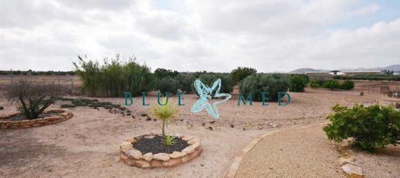 3 Schlafzimmer Haus in Fuente Alamo, Spain, Nr. 163459 30