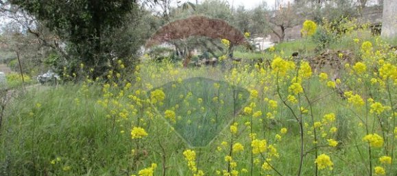 2 غرف نوم منزل في Celorico da Beira, Portugal رقم 30008 8