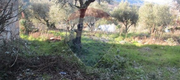 2 غرف نوم منزل في Celorico da Beira, Portugal رقم 30008 12