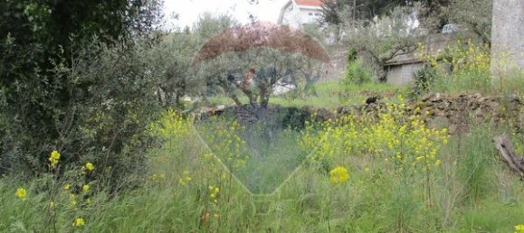 2 غرف نوم منزل في Celorico da Beira, Portugal رقم 30008 15