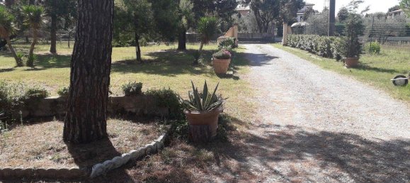 Villa de 13 divisões em Castiglione del Lago, Italy N.º 159597 18