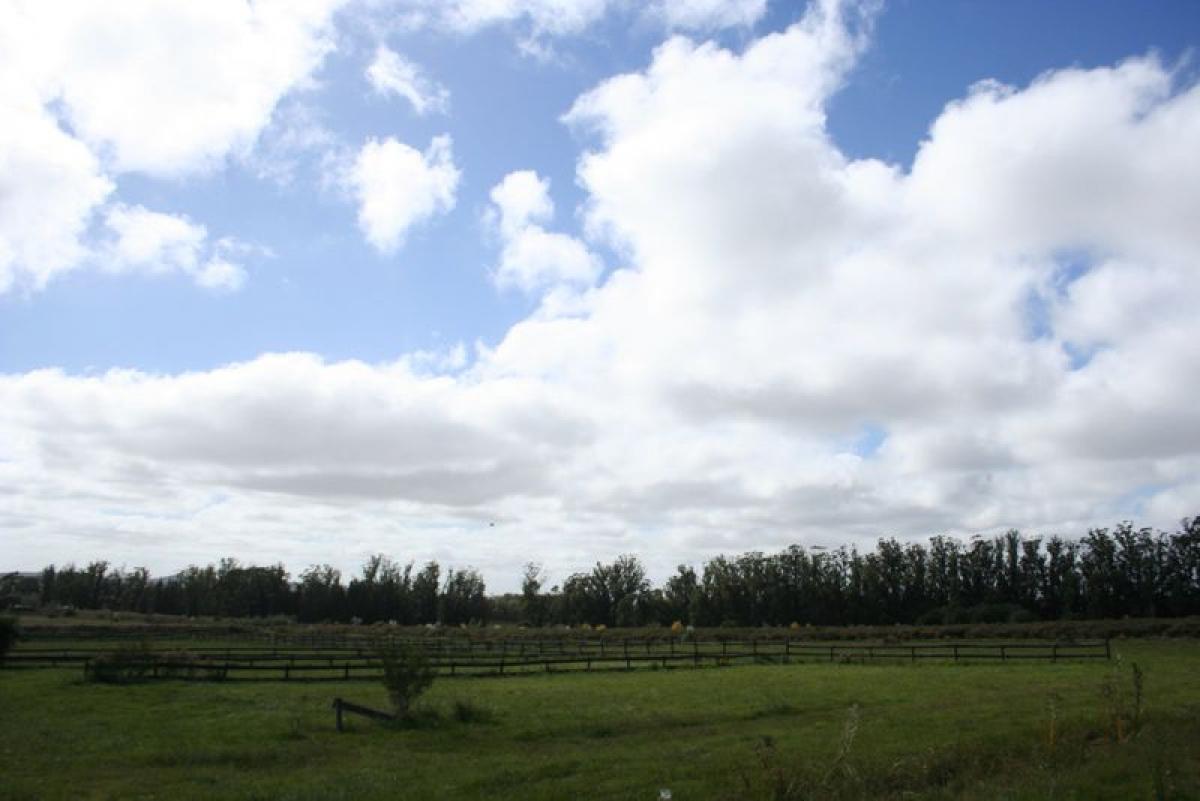  قطعة أرض في Maldonado, Uruguay رقم 14162