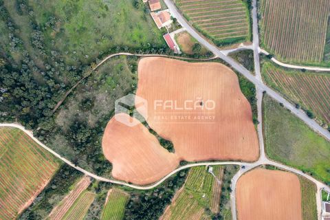 Terreno en Alenquer, Portugal No. 322650