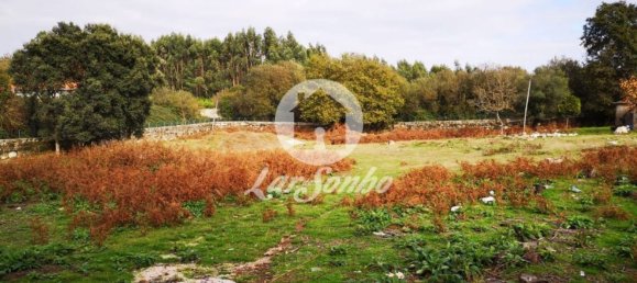 استوديو في Vila Nova de Famalicao, Portugal رقم 83656 3