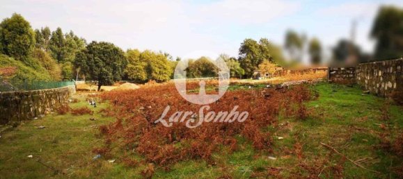 استوديو في Vila Nova de Famalicao, Portugal رقم 83656 4