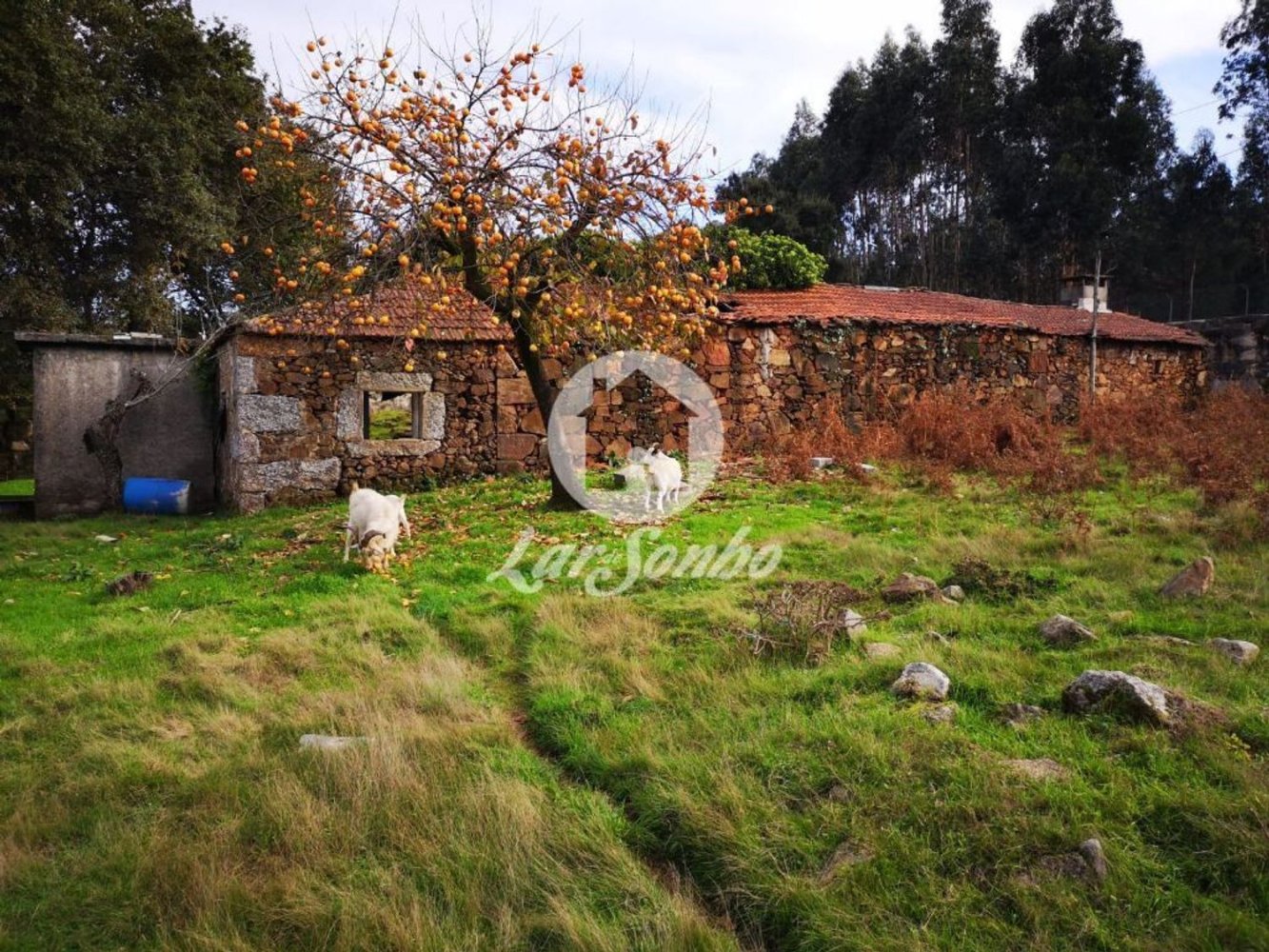 استوديو في Vila Nova de Famalicao, Portugal رقم 83656