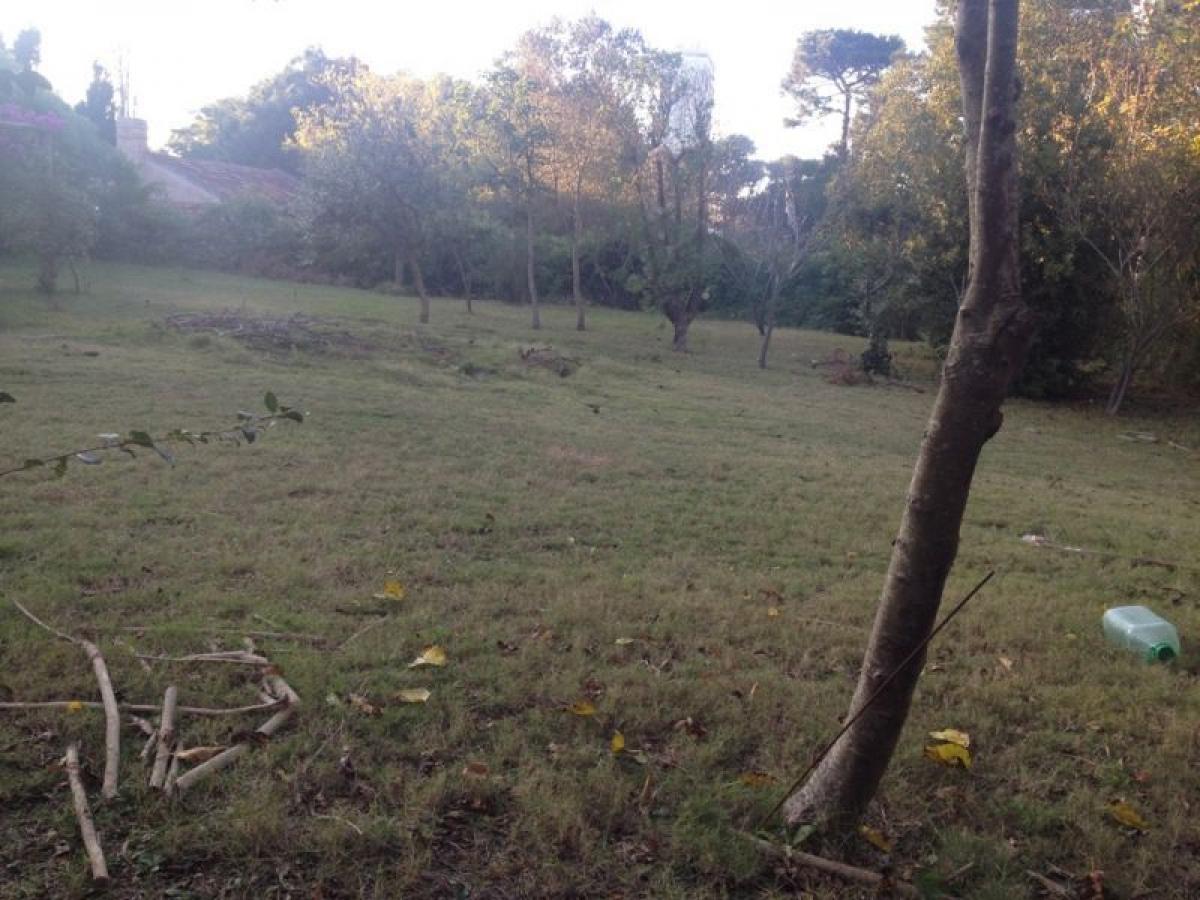  Land in Maldonado, Uruguay No. 15698