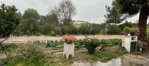 4 chambres Maison à Coruche, Portugal No. 158030 26