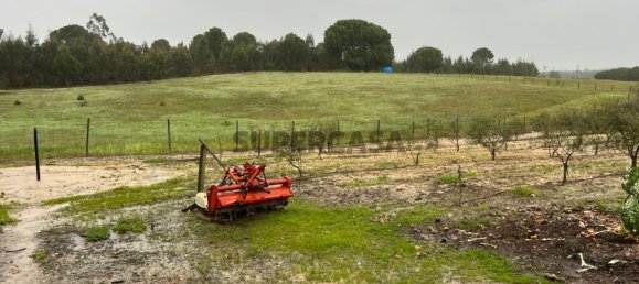 4 chambres Maison à Coruche, Portugal No. 158030 31