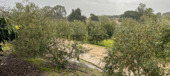 4 chambres Maison à Coruche, Portugal No. 158030 27