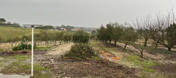 4 chambres Maison à Coruche, Portugal No. 158030 30