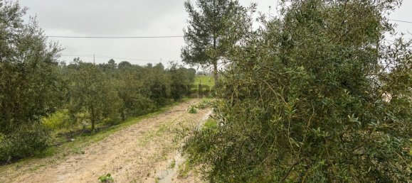 4 chambres Maison à Coruche, Portugal No. 158030 29