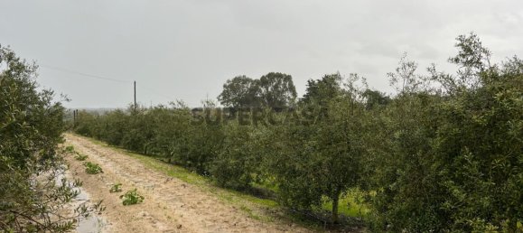 4 chambres Maison à Coruche, Portugal No. 158030 32
