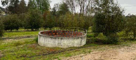 4 chambres Maison à Coruche, Portugal No. 158030 28