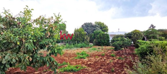 3 chambres Villa à Ostuni, Italy No. 340556 3