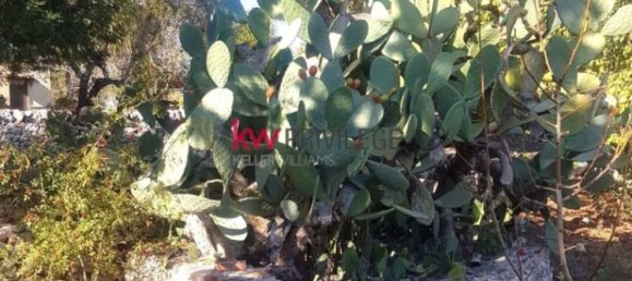 3 chambres Villa à Ostuni, Italy No. 340556 19