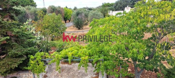 3 chambres Villa à Ostuni, Italy No. 340556 17