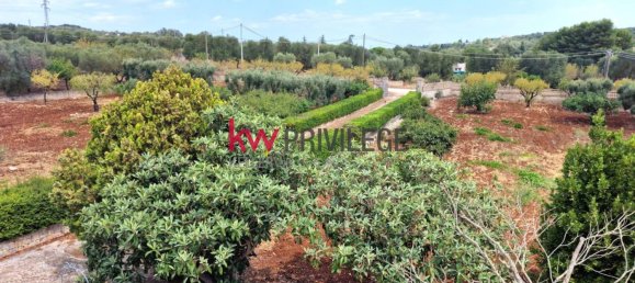 3 chambres Villa à Ostuni, Italy No. 340556 15