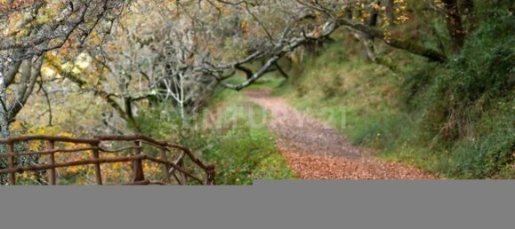 Grundstück in Sintra, Portugal 1760m², Nr. 135690 14