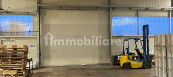 2 rooms Warehouse in Limena, Italy No. 168354 9